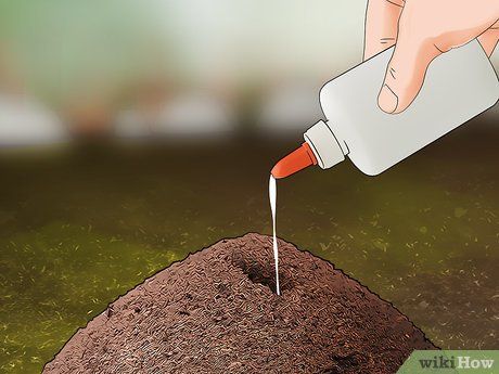 Kill Ants Outside, Ant Killer Natural, Kill Ants Naturally, Ant Poison, Killing Ants, Ants In Garden, Ant Killer Recipe, Homemade Ant Killer, Ant Spray