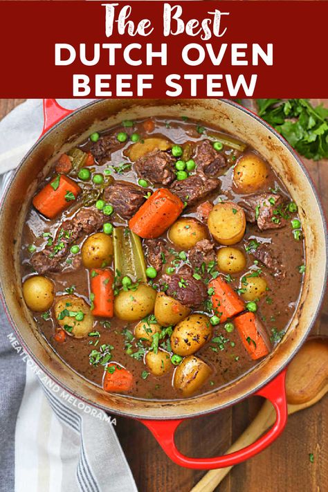 Dutch Oven Beef Stew Recipes, Beef Stew Recipe Oven, Best Beef Stew Recipe, Dutch Oven Beef Stew, Oven Beef Stew, Creuset Recipes, Dutch Oven Beef, Easy Beef Stew Recipe, Le Crueset