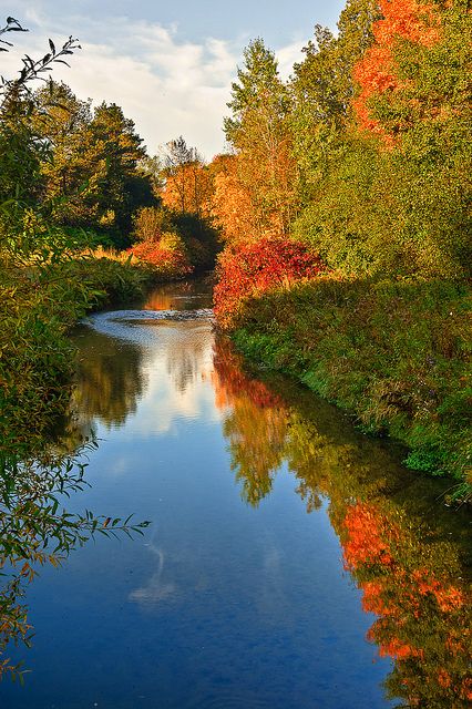 Waterloo Park Waterloo Canada, Waterloo Ontario, Autumn Scenes, Ontario Canada, Nautical Theme, My Heart Is Breaking, Ontario, Nautical, Photo Sharing