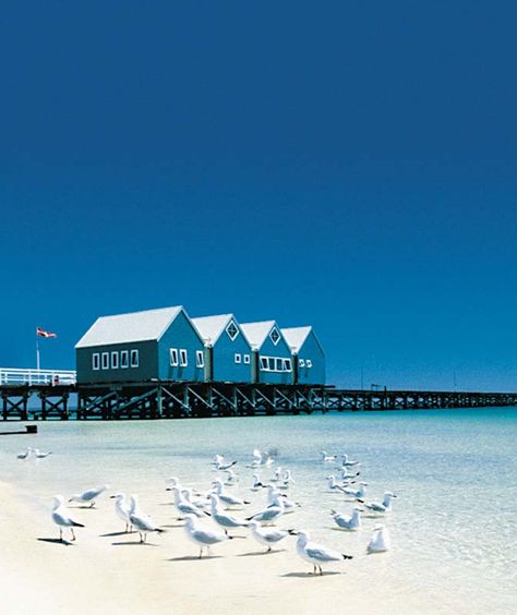 Margaret River, Busselton Jetty, The Jetty Bbc, Pemberton Western Australia, Western Australia Road Trip, Perth Western Australia City, Margaret River Western Australia, Brisbane River, River Painting