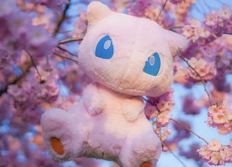 Mew Plush, Pokemon Types, Pink Pokemon, Pokemon Merch, Pokemon Plushies, Pokemon Mew, Mew And Mewtwo, Tender Heart, Pokemon Ideas