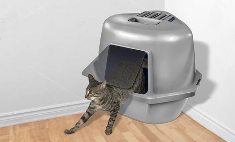 Van Ness Corner Enclosed Cat Pan, Silver, Large* Check this awesome product by going to the link at the image. (This is an affiliate link) #catlitterboxers Cat Litter Furniture, Aesthetic Pets, Cat Food Recipe, Flip Door, Usa Aesthetic, Raised Dog Beds, Litter Box Furniture, Kitty Litter, Cat Litter Box Furniture