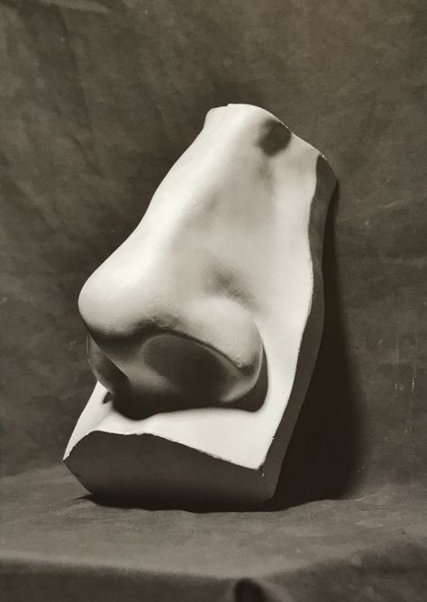 Nose Sculpture, Still Life Pictures, Life Drawing Reference, Anatomy Sculpture, 얼굴 드로잉, Classic Sculpture, Plaster Sculpture, Face Drawing Reference, Human Anatomy Art