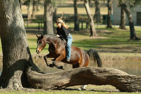 Bareback Horse Riding, Jumping Horses, Bareback Riding, Weird Girl, Trick Riding, Show Jumping Horses, Saddle Rack, Equestrian Problems, Horse Western