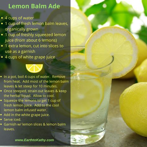 Lemon Balm Lemonade Recipe, Lemon Balm Lemonade, Lemon Ade Recipes, Lemon Balm Water Recipe, How To Make Lemon Balm, Lemon Balm Drink Recipes, How To Make Lemon Balm Tea, Lemon Balm Water, Lemon Balm Recipes Ozempic