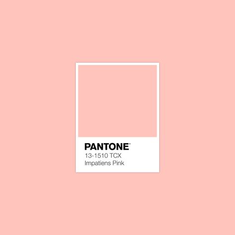 2,625 Pantone Colors. Endless possibilities. Explore FHI Cotton TCX in 1 click for FREE! · PANTONE 13-1510 TCX Impatiens Pink Color · #Pantone #Color #ColorBook #Inspiration · @pantonecolor · Kid’s Pattern Pale Peach Color, Color Library, Pantone Swatches, Pantone Palette, Color Pantone, Fashion Textiles, Pantone Colour Palettes, Peach Aesthetic, Pantone Colors