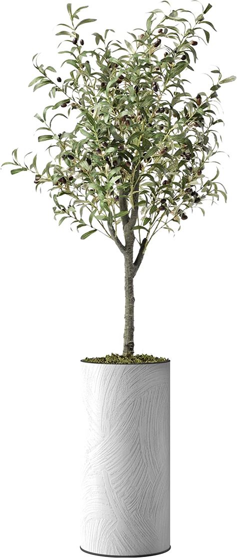 Foyer Ledge, Indoor Olive Tree, Artificial Indoor Trees, Faux Trees, Olive Plant, Contemporary Planters, Indoor Tree, Tall Plant, Artificial Plants Indoor