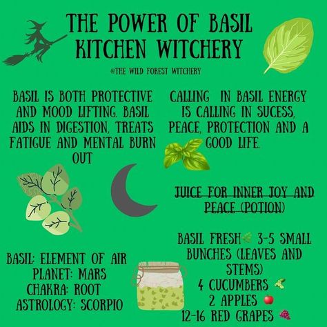 Edible Potions Witchcraft, Kitchen Witch Potions, Kitchen Witchcraft For Beginners, Basil In Witchcraft, Basil Witchcraft, Witch Recipes Potions, Kitchen Witch Tips, Kitchen Witchcraft Recipes, Kitchen Witchcraft