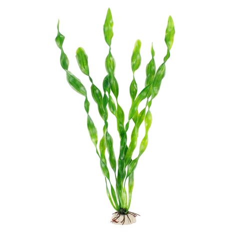 MyLifeUNIT Artificial Seaweed Water Plants for Aquarium, Plastic Fish Tank Plant Decorations 10 PCS, #Ad #Water, #SPONSORED, #Plants, #Aquarium, #MyLifeUNIT Plants For Aquarium, Plastic Fish Tank, Plants Aquarium, Plastic Fish, Fish Tank Plants, Aquarium Decorations, Animal Farm, Planted Aquarium, Fake Plants