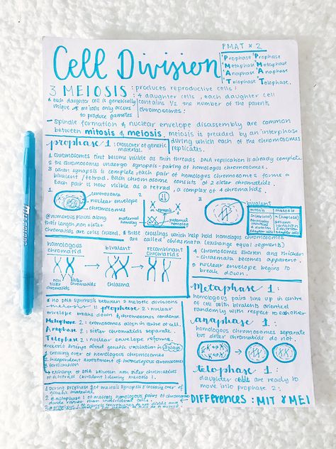 Meiosis Notes Aesthetic, Bipc Notes, Meiosis Notes, Cell Notes, Biological Molecules, Bio Notes, Biochemistry Notes, Learn Biology, Notes Tips