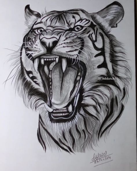 RATE THIS ARTWORK ✨ ◾ DM FOR PAID WORK ✍️ #instagram #art #artist #artistsoninstagram #tiger #trending #viral #exploremore #explore #_ndsketch30_ #support #sketch #drawing #dmfororder #like #share #feedfeed #feed #follow #portrait Tiger Sketch Pencil Easy, Tiger Face Drawing Sketches, Tiger Drawing Sketches, Tiger Face Drawing, Tiger Art Drawing, Tiger Drawings, Tiger Sketch, Tiger Drawing, Animal Pen