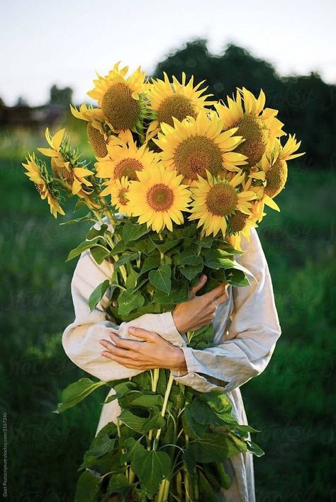 Sunflower Photography, Sunflower Photo, Holding Flowers, Happy Flowers, Sunflower Fields, Flower Farm, Love Flowers, Pretty Flowers, Beautiful Photo