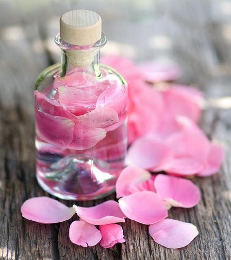 10 Surprising Benefits Of Rose Water For The Eyes Rose Water Benefits, Dark Circle Remedies, Gym Model, Rosemary Oil For Hair, Dark Circles Under Eyes, Bulgarian Rose, Saggy Skin, Gorgeous Skin, Beauty Remedies