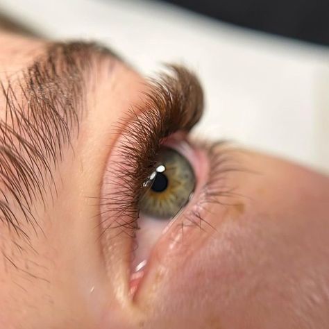 For this set, she's using our Rainbow XL Promade Trays 5D 8-14 mm in CC curl. Brown Lashes are very trendy now, but why? ⁠ ✔️ They have a softer, more natural vibe;⁠ ✔️ They complement various eye shapes and styles;⁠ ✔️ Perfect for clients seeking a unique, personalized touch;⁠ ✔️ Create stunning, natural looks for clients with lighter hair.⁠ Get the look by giving a try to any of our Brown Lashes collection at llbaprofessional.com Lashes Collection, Brown Lashes, Lighter Hair, But Why, Eye Shapes, Get The Look, Dark Brown, Lashes, Tray