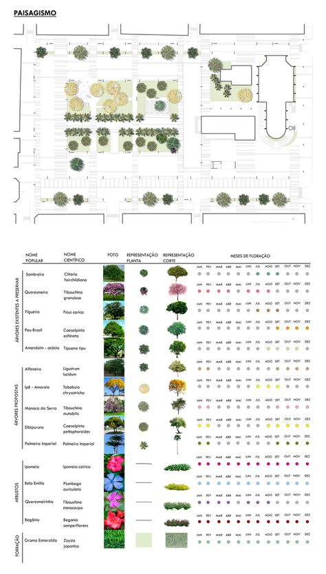 Galeria de Segundo lugar no Concurso para a Praça Central de Guaratuba/PR - 12 Site Analysis Architecture, Urban Ideas, Hotel Landscape, Landscape Architecture Plan, Case Study Design, Urban Design Graphics, Landscape Design Drawings, Urban Design Concept, Landscape Architecture Drawing