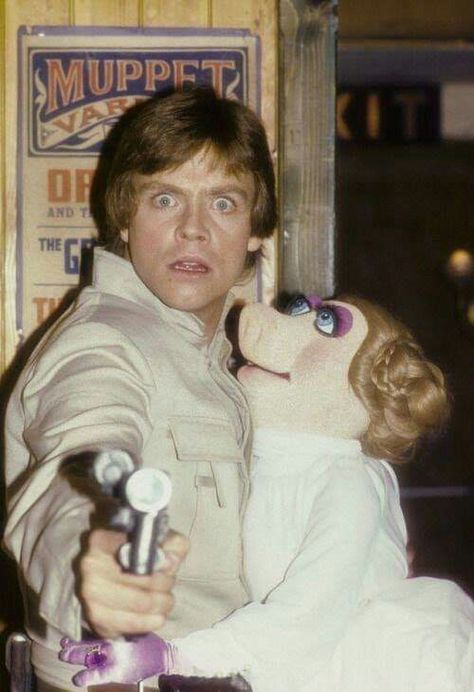 Luke Core, Star Wars Cast, The Cardigans, The Muppet Show, Star Wars Film, Miss Piggy, Mark Hamill, Star Wars Pictures, Carrie Fisher