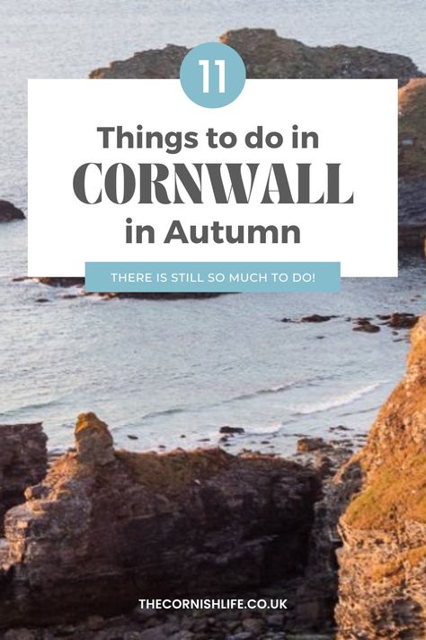 11 things to do in cornwall in autumn Glamping Inspiration, Things To Do In Cornwall, Oyster Festival, River Kayaking, Best Cycle, South West Coast Path, Favourite Season, Eden Project, Kayak Trip