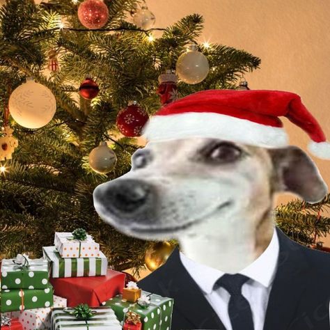 silly pfp Christmas Goofy Christmas Pictures, Christmas Dog Pfp, Silly Christmas Photos, Christmas Pfp Cartoon, Discord Pfp Christmas, Jolly Posting, Pfps For Editors, Christmas Pfp Funny, Profile Picture Christmas