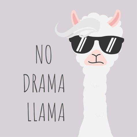 No Drama Llama Llama Drawing, No Drama Lama, Llama Pictures, No Drama Llama, Drama Llama, Grid Notebook, Llama Drama, Dot Grid Notebook, Art Cover