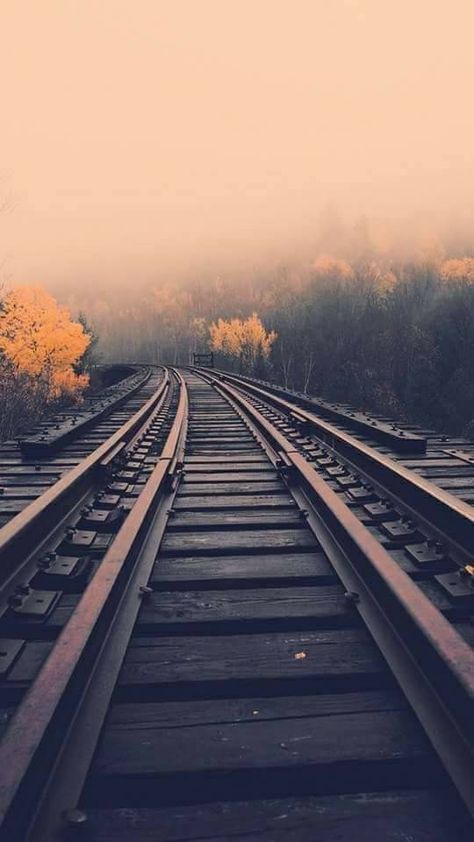 Full Hd Wallpaper, Train Tracks, Alam Yang Indah, A Train, Image Hd, Nature Wallpaper, Aesthetic Photography, Pretty Pictures, Beautiful Landscapes