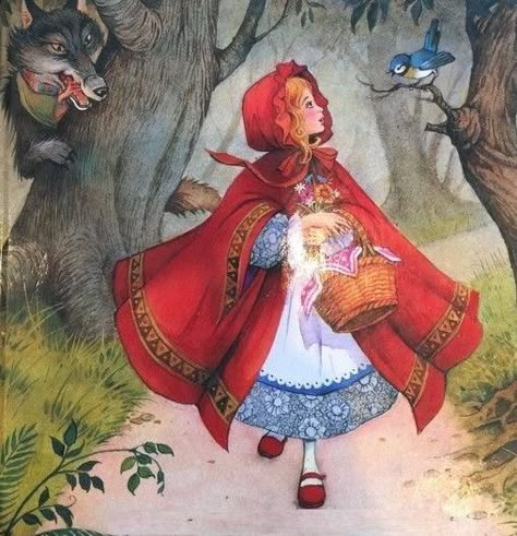 Red Riding Hood Book, Witch Princess, Old Nursery Rhymes, Red Riding Hood Wolf, Red Riding Hood Art, Riding Hood Costume, Sun Princess, The Moon Goddess, Red Riding Hood Costume