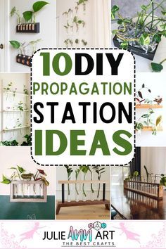 Planting Station Diy, Propogation Wall Ideas, Plant Wall Propagation, Easy Plant Propagation, Wooden Propagation Station, Propergation Station Diy, Window Propagation Station, Diy Hanging Propagation Station, Propagation Station Ideas