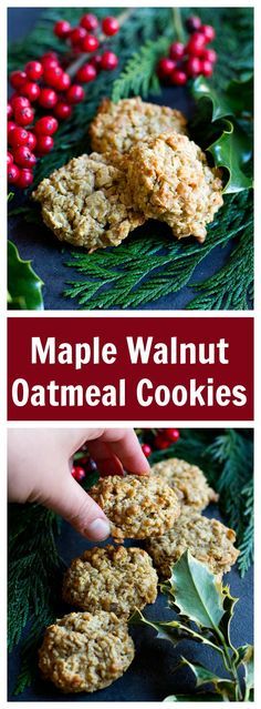 Maple Oatmeal Cookies, Cookies No Chill, Walnut Oatmeal, Maple Oatmeal, Cookies Healthy, Maple Walnut, Coconut Cookies, Classic Cookies, Best Cookie Recipes