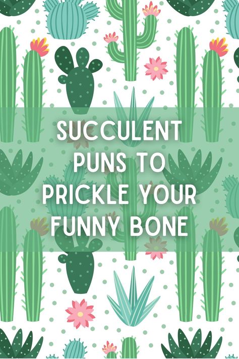 Succulents are not only beautiful plants known for their unique and interesting shapes, but they also make great subjects for puns. Whether you're a plant lover or just looking to add some humor to your day, these succulent puns are sure to make you smile. Aloe Puns Funny, Succulent Puns Funny, Garden Puns Funny, Cute Plant Sayings, Succulent Sayings Funny, Succulent Quotes Funny, Succulent Sayings Cute, Plant Quotes Funny Humor, Plant Puns Funny