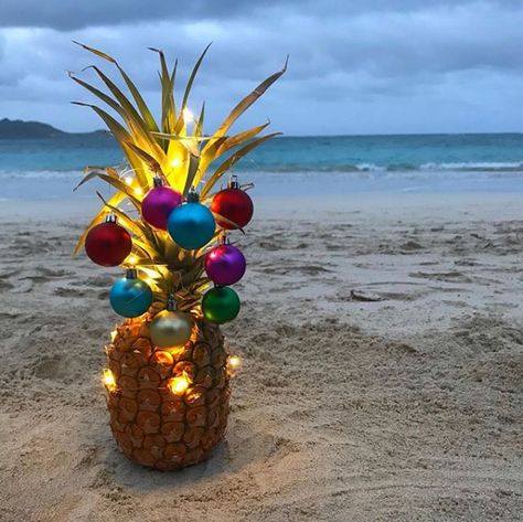 Who needs snow? There's still nothing like a Hawaiian Christmas.   : lyssmmm (@INSTAGRAM) #aloha #hawaii #pineapple #ornaments #christmassinhawaii #nosnow #beach #kailua #luckywelivehi #surf #surfing #surfboutique Pineapple Christmas, Hawaii Christmas, Florida Christmas, Aussie Christmas, Toy Drive, Beachy Christmas, Hawaiian Christmas, Summer Christmas, Tropical Christmas