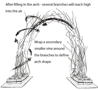 Out My front Door: branch arch project Tree Branch Wedding Arch, Branch Arch Wedding, Tree Branch Wedding, Branch Centerpieces Wedding, Diy Wedding Arch, Wedding Branches, Lights Diy, Curly Willow, Prom Theme