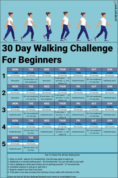 30 Day Walking Challenge For Beginners 30 Days Walking Challenge, 21 Day Walking Challenge, 30 Day Walking Challenge For Beginners, Walking Challenge 30 Day 10 Pounds, 28 Day Indoor Walking Challenge, 28 Day Walking Challenge, Walking Challenge 30 Day, Walking Challenge For Beginners, 30 Day Walking Challenge