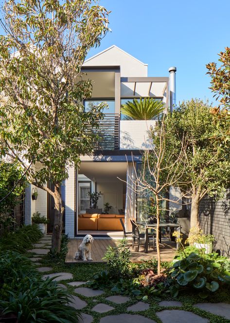 Paying reverence to the three-storey Victorian terrace’s quirky composition, South Melbourne House by Honto Architecture is a delightful demonstration of strapping reinvention. South Melbourne, Melbourne House, The Local Project, Victorian Terrace, Curated Design, Local Design, Architecture Project, Australian Design, The Locals