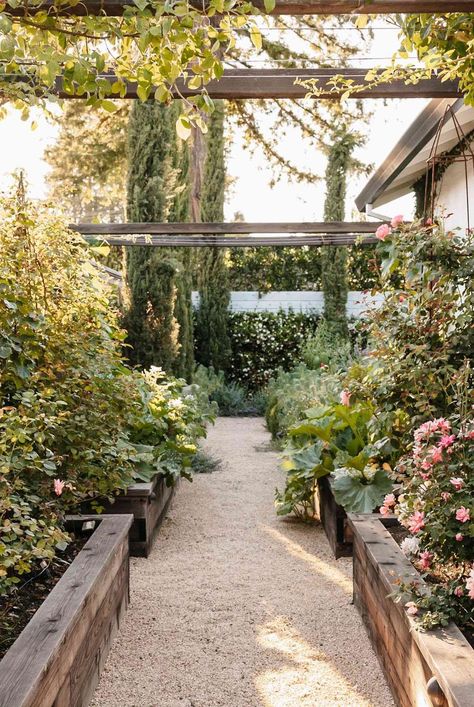 There's nothing like a stroll through your garden, especially on a stunning path. Here are 14 cheap DIY garden path ideas to help spark inspiration. #gardeningadvice #houseplanthacks #howtogrow #indoorflowers #plantparenttips #thespruce #walkwayflowers #walkwayideas Vegetable Garden Paths And Walkways, Garden Paths And Walkways, Diy Garden Path, Garden Path Ideas, Garden Pavers, Flagstone Path, Brick Path, Path Ideas, Brick Garden