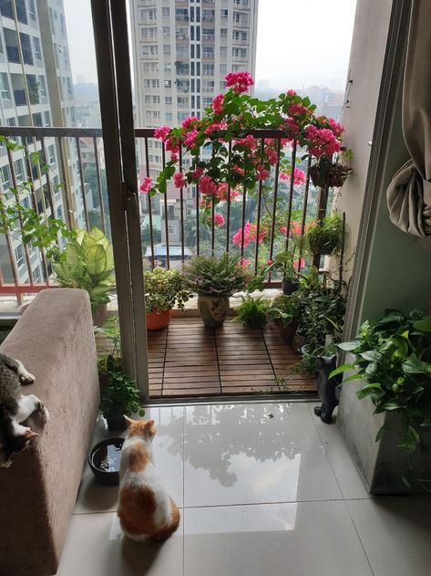 Cozy Balcony, Apartment Balcony Garden, Small Balcony Garden, Sunny Vibes, Balcony Plants, Porch And Balcony, Apartment Balcony Decorating, Balcony Design, Space Decor