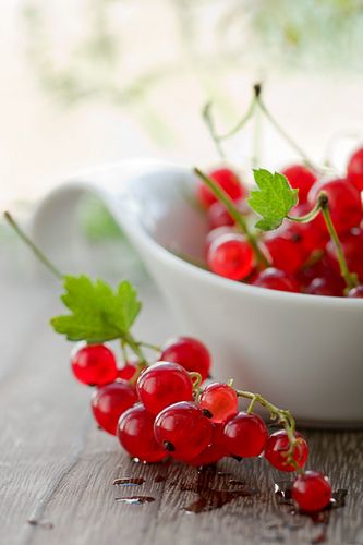 Red Currants by sarsmis Cake Pistache, Red Currants, Fresh Fruit Recipes, Fruit Photography, Red Currant, Beautiful Fruits, Exotic Fruit, Red Fruit, Delicious Fruit