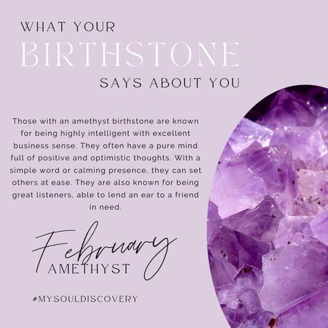 Zodiac Signs In Order, Feb Birthstone, Birth Animal, Birth Month Stones, February Month, Birth Colors, Birth Stones, Amethyst Birthstone, Album Ideas