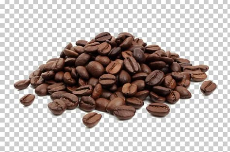 Chocolate Bean, Coffee Bean, Bean Jpeg, Coffee Bean Graphic, Coffee Site, Coffee Beans Background, Coffee Beans Photography, Different Kinds Of Coffee, Jamaican Blue Mountain Coffee