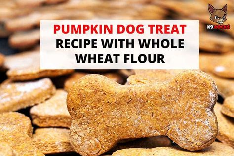 Dog Treats With Wheat Flour, Whole Wheat Flour Dog Treats, Wheat Flour Dog Treats, Pumpkin Whole, Pumpkin Dog Treat, Probiotic For Dogs, Recipe With Milk, Healthy Flour, Dog Treat Recipe