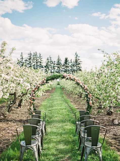 Starry Night Wedding Theme, Apple Orchard Wedding, Folk Wedding, Starry Night Wedding, Barcelona Wedding, Orchard Wedding, Wedding Arches, Dream Wedding Venues, Bridal Musings