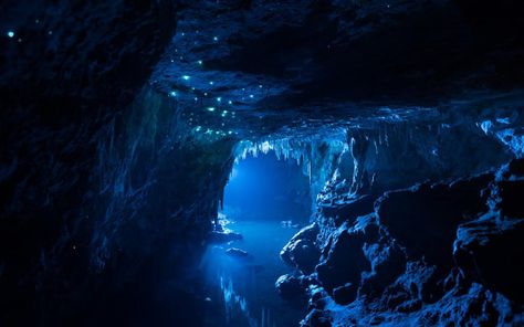 These caves in New Zealand are lit entirely by glow worms (PHOTOS) http://wrd.cm/1G4F5x3 Mroczny Elf, Waitomo Caves, Glow Worm Cave, Limestone Caves, Long Exposure Photos, Dark Cave, Underwater Caves, Glow Worm, Cave System