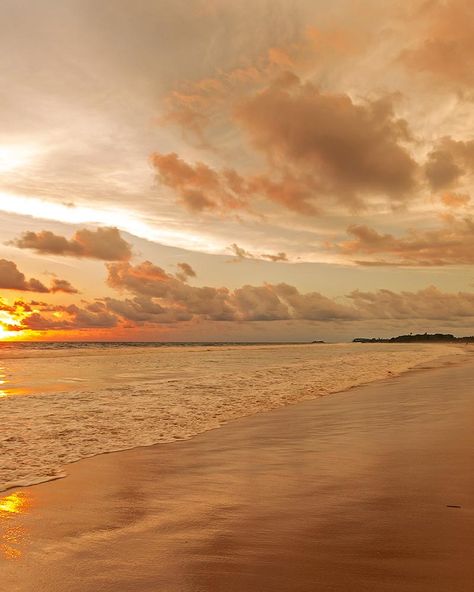 Enjoy a stunning sunset over the horizon while having a relaxing walk in the long and golden sandy beaches of Bentota. #srilanka #bentota #bentotabeach #sunset #srilankanbeaches #travel #beachgetaway #talesofceylon Beach Place, Candlelit Dinner, Play A Game, Golden Beach, Water Art, Sunset Wallpaper, Pretty Sky, Sunset Pictures, Beach Aesthetic