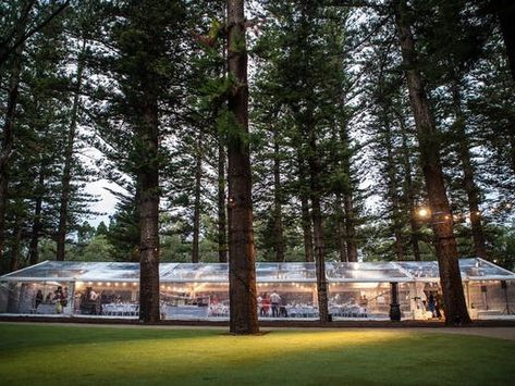 Perth Wedding Venues, Perth Wedding, Wedding Marquee, Outdoor Trees, Beautiful Wedding Venues, Marquee Wedding, Wonderland Wedding, Tent Wedding, Woodland Wedding