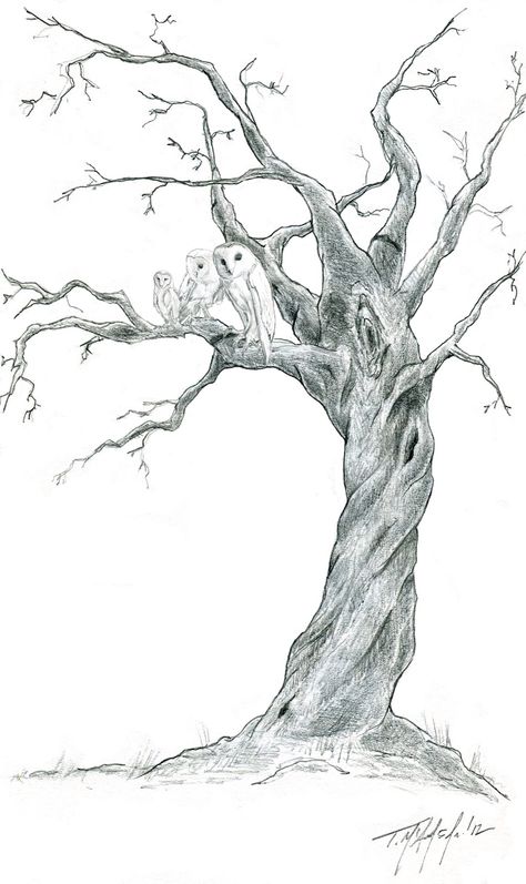 I want an old/dead tree with a heart carved in it with the initials "P + C" Dead Tree Drawing, Trees Art Drawing, Line Drawing Tattoos, Tree Drawings Pencil, Arte Peculiar, Dead Tree, Tree Sketches, Bare Tree, Old Trees