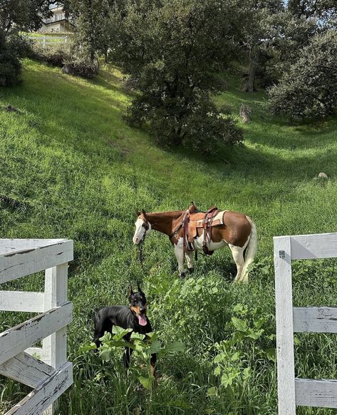 Horsey Life, Kendall Jenner Instagram, Future Farms, Western Life, Cowgirl Aesthetic, Ranch Life, Baby Puppies, November 17, Kendall Jenner Style