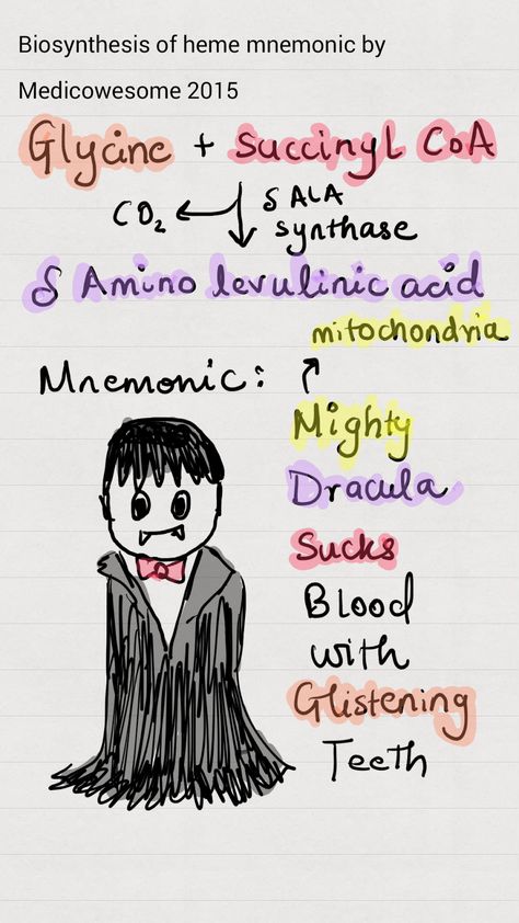 Medicowesome: Heme synthesis mnemonic Nursing Work, Medical Mnemonics, School Nursing, Medical Student Study, Medical School Essentials, Biology Notes, Medical Anatomy, Study Skills, Student Studying