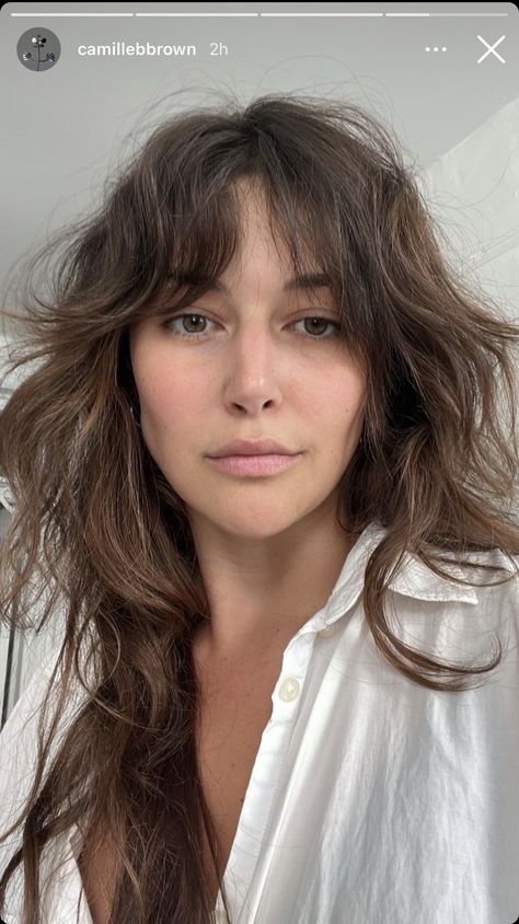 Long French Fringe, 70s Shag Wavy Hair, Layered Hair Shag, Shag Fringe Long Hair, Medium Length Hair Shaggy Layers, Shag Bangs Wavy Hair, Lots Of Layers Medium Hair Wavy, Shag Cut Without Bangs, Subtle Shag Haircut Long