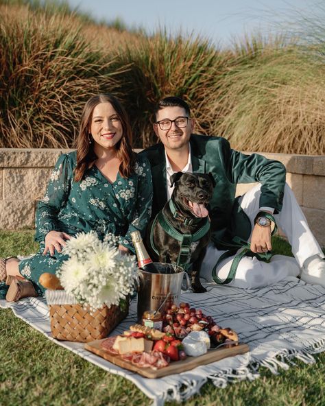 Dog Picnic Photoshoot, Couples Picnic Photoshoot, Dog Picnic, Dog Parties, Couples Picnic, Photoshoot With Dog, Picnic Photo Shoot, Picnic Photography, Prewedding Ideas