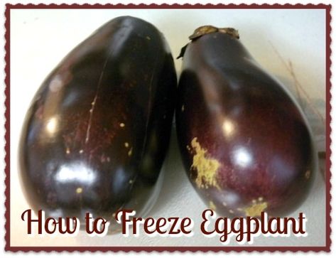 Freezing Eggplant How To, How To Freeze Eggplant, Freezing Eggplant, Preserving Fruit, Freezing Vegetables, Freezing Eggs, Canning Pickles, Egg Plant, Eggplant Dishes