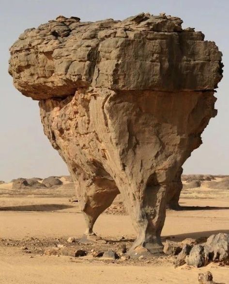 The effects of wind erosion in the Algerian Desert - 9GAG Samos, Rock Formations, Mesopotamia, Environment Design, Alam Yang Indah, Natural Phenomena, A Rock, The Desert, Amazing Nature