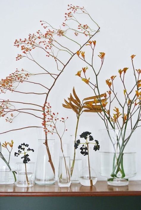 Under $10: Fall Arrangements That Will Last All Season Natural Fall Decor, Autumn Bouquet, Fall Arrangements, Autumn Nature, Deco Floral, Arte Floral, Ikebana, Plant Life, Flower Power